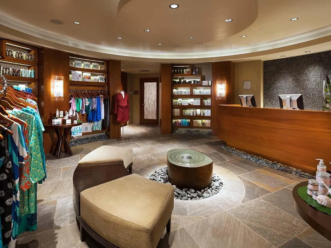 Vakantiehuis The Westin Kaaanapali Ocean Resort North Studio Apartment With Resort Access Kahana